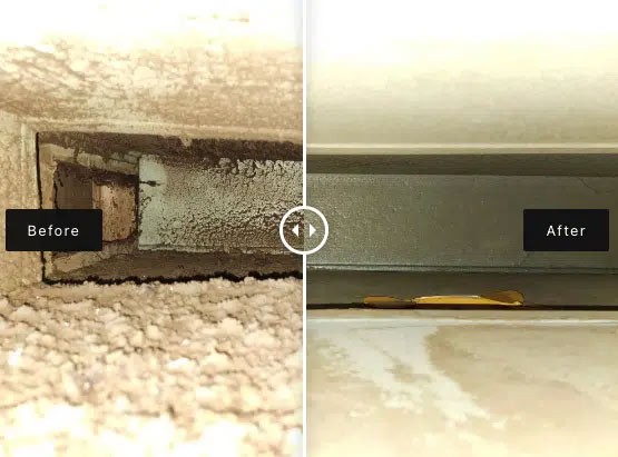 Before after cleaning